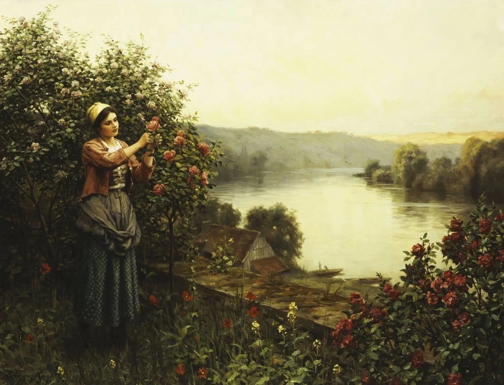 Fiori d'estate